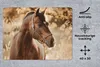 MuchoWow® Mauspad Mousepad Pferd - Sonne - Porträt - Natur Produktbild-Vorschau 2
