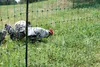 Filet non conducteur pour volailles 25 m 106 cm Voir les images du produit 15