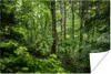 MuchoWow® Poster Wald - Baum - Grün 180x120 cm - Fotoplakat Produktbild-Vorschau 1