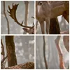 Bild auf Leinwand - Leinwandbild - Kitz Hirsch Tier wild - Produktbild-Vorschau 8