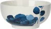 Porzellanschüssel 700 ml 14x7,5 cm Ideal als Suppenschüssel Produktbild-Vorschau 1