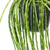 Urban Jungle Elegance - Cactus moderno da appendere con Anteprima dell’immagine prodotto 3