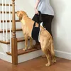 Tragehilfe Hund, Einstellbare Hunde Tragehilfe für die Produktbild-Vorschau 6