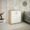 A two-door cabinet with a light brown frame and white doors, placed on a light-colored floor against a textured wall. A vase with branches and a potted plant are visible. Produktbild-Vorschau