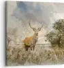Bild auf Leinwand - Leinwandbild - rotwild natur - 30x30cm Produktbild-Vorschau 1