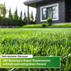 Greenyp® Super Rasen I sattgrüner Premium Zierrasen I 0,8kg Produktbild-Vorschau 6