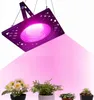 LED Pflanzenlampe 50W IP66 Wasserdicht,Led Grow Lampe Produktbild-Vorschau 1