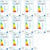 vidaXL Lampada da terra con elemento decorativo a 4 sfere Anteprima dell’immagine prodotto 4