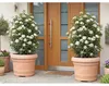 Pflanzkübel geli Palermo Kunststoff Ø 80 cm H 60 cm Produktbild-Vorschau 2