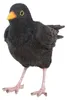 Oiseau décoratif d'extérieur en polyrésine Merle Voir les images du produit 2