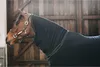 Kentucky Horsewear Abschwitzdecke Towel Rug Schwarz M (bis Produktbild-Vorschau 6