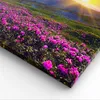 Bild auf Leinwand - Leinwandbild - Wiese Berge Landschaft - Produktbild-Vorschau 5