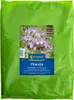 Kiepenkerl Gründünger Saatgut Phacelia 1 kg für 250 m² Produktbild-Vorschau 5