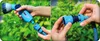 Hands connecting a blue hose connector to a blue hose nozzle, with green foliage in the background. Voir les images du produit