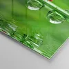 Bilder auf glas - Marienkäfer Wasser Grün Umwelt - 60x60cm Produktbild-Vorschau 5