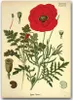 Poster - Canvas - Leinwand - 59,4 cm x 84,1 cm - Fotoposter Produktbild-Vorschau 1