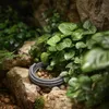 Terrario Premium Repti Cable 50W - Heizkabel 8,5m Produktbild-Vorschau 12