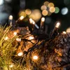 A close-up of warm white LED string lights wrapped around a pine cone and pine needles. Produktbild-Vorschau