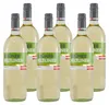 Wegenstein Grüner Veltliner -trocken- (6 x 1,0L) Produktbild-Vorschau 1
