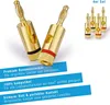 A close-up of gold-plated banana plugs with descriptive text overlays. Produktbild-Vorschau