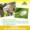 Neudorff Promanal Neu Austriebsspritzmittel 500ml Produktbild-Vorschau 4