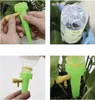 Collage showing the assembly and use of a plant watering device. Anteprima dell’immagine prodotto