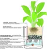 Diagram of a self-watering plant pot with labels in Polish. Voir les images du produit