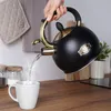 Vilde | Bouilloire Avec Sifflet - Noir - 3 L - Acier Voir les images du produit 9