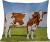 MuchoWow® Outdoor Kissen - Kühe - Bauernhof - Gras - Natur Produktbild-Vorschau 1