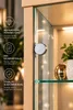 AGIONDA Standvitrine mit LED-Beleuchtung, Glasvitrine mit 2 Produktbild-Vorschau 5