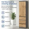 Armoire, armoire vestiaire, armoire polyvalente avec 3 Voir les images du produit 4