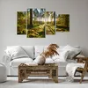 Bild auf Leinwand - Leinwandbild - Wald Baum Natur - Produktbild-Vorschau 6