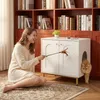 Katzenschrank, 60 cm Katzenklo Schrank, Weiß und Gold | Produktbild-Vorschau 1