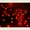 Guirlande lumineuse chinoise rouge - 6m/19,7ft, 40 lumières Voir les images du produit 7