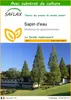 SAFLAX  - Sapin d'eau - 60 graines - Avec substrat - Voir les images du produit 1