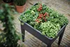 elho Green Basic Grow House XXL, Gewächshausabdeckung, Produktbild-Vorschau 11