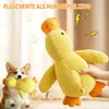 Hundespielzeug Plüsch mit Quietscher, robust und Produktbild-Vorschau 5