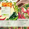 Chili Samen 5er Set - Chili Saatgut aus biologischem Anbau Produktbild-Vorschau 5