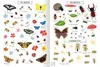Naturforscher-Kids - Stickerheft Insekten Produktbild-Vorschau 8