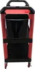 Carrello portautensili mobile multiuso con organizer – 3 Anteprima dell’immagine prodotto 5
