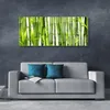 Acrylglasbilder 125x50 Wandbild Druck Bambusrohre Pflanzen Produktbild-Vorschau 3