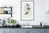 MuchoWow® MuchoWow® Gerahmtes Poster Vogel - Vintage - Produktbild-Vorschau 4