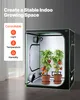 A grow tent with two potted tomato plants inside, set up in a room with a window and curtains. Anteprima dell’immagine prodotto