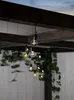Guirlande lumineuse LED Fiesta - 10 LED filament blanc Voir les images du produit 12