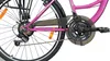26 Zoll Luchs "Feline" Cityrad Hollandrad Citybike Produktbild-Vorschau 4