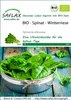 SAFLAX - BIO - Špenát - Zimný Gigant - Spinacia oleracea - Náhľad obrázku produktu 11