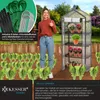KESSER® Premium Foliengewächshaus Gewächshaus mit 4 Etagen Produktbild-Vorschau 5
