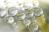 Wasserperlen Ø 10-12mm (1 St.) [IFS-10320] Produktbild-Vorschau 9