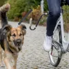TRIXIE Biker-Set Fahrrad-Hundebügel in U-Form mit Produktbild-Vorschau 1