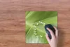 MuchoWow® Mauspad Mousepad Foto eines botanischen Blattes Produktbild-Vorschau 3